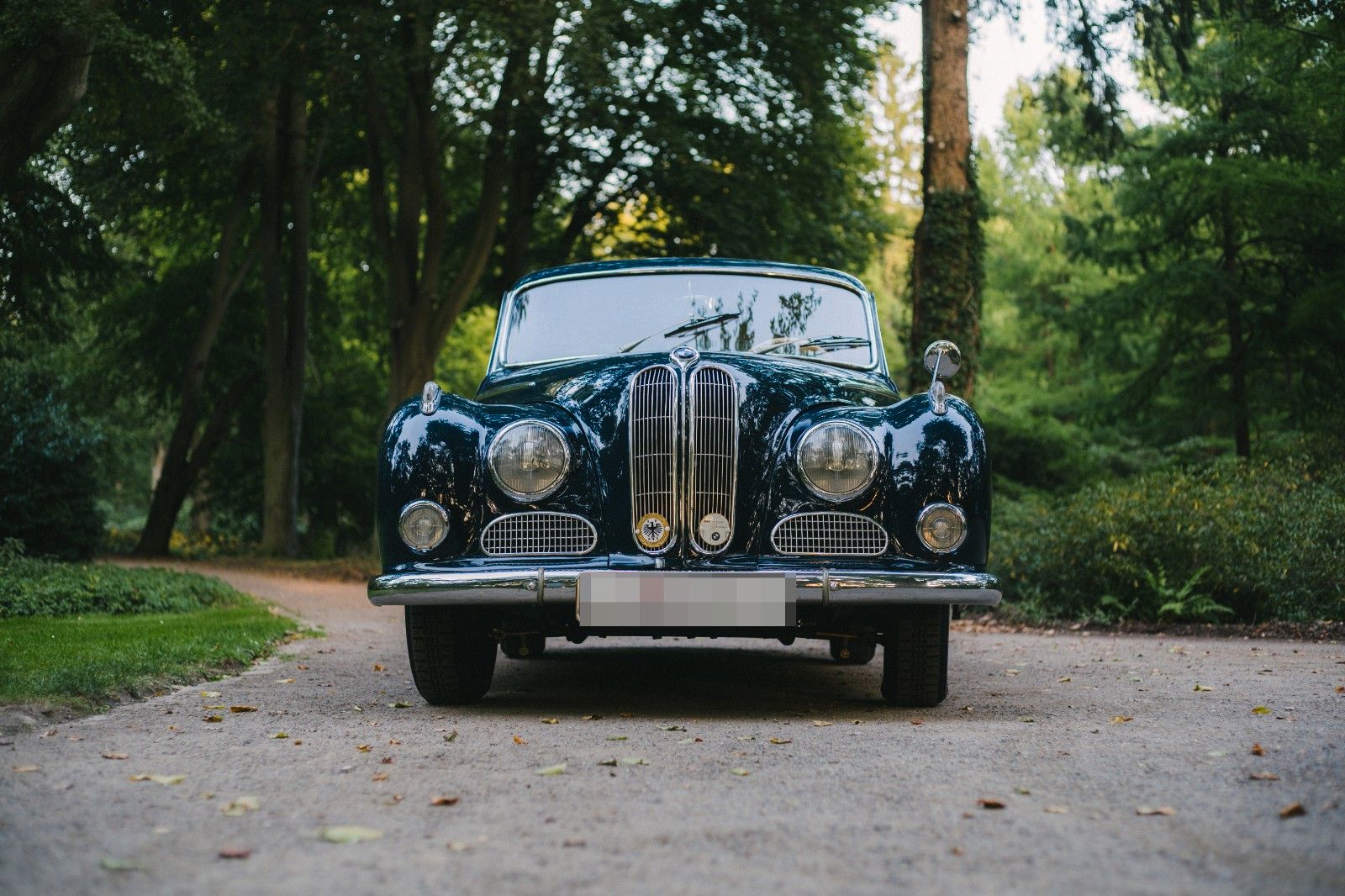 Fahrzeugabbildung BMW 502 A 3.2 V8